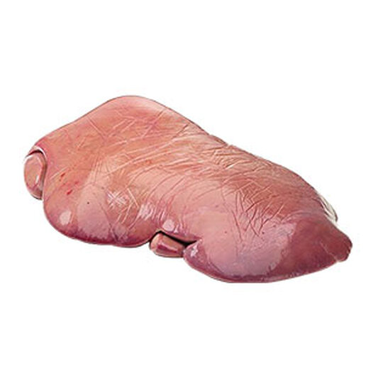 MS0026