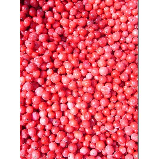Mo0119