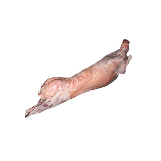 MM0254-1