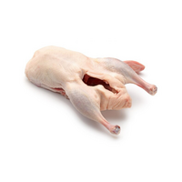 Kačica celá bez drobov cca 2,3kg HU mrazená