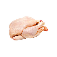 Kura bez drobkov mrazené