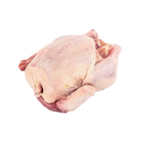 DRUBEŽ Kohút cca 3kg mrazený