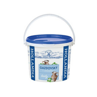 HOLLANDIA Jogurt 5kg