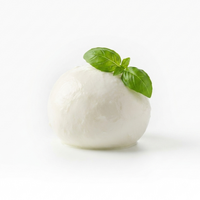 VALCOLATTE Mozzarella 100g