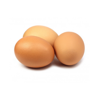 NOVOGAL Vajcia (1bal./30 ks)