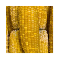 BONDUELLE Kukurica klasy mini 2,5kg