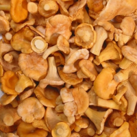 VIKING FROST Mrazené Kuriatka 1kg