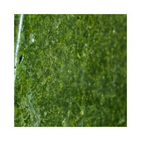 VIKING FROST Mrazený Špenát drť /porcie/ 2,5kg