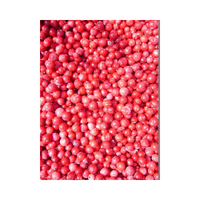 VIKING FROST Červené ríbezle 2,5kg