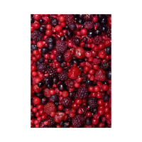 VIKING FROST Mrazená Lesná zmes 2,5kg