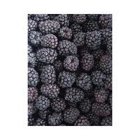 VIKING FROST Mrazené Černice 2,5kg