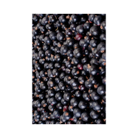 VIKING FROST Mrazené Čierne ríbezle 2,5kg