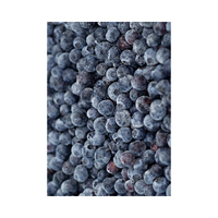 VIKING FROST Mrazené Čučoriedky 2,5kg