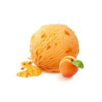 Sorbet Marhuľa 2,4L