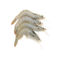 Krevety celé surové 16/20 1kg