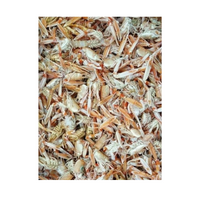 Langustinky klepeta a hlavy 5kg