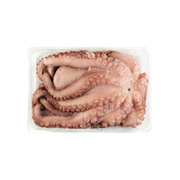 Chobotnice 1000/2000 vanička