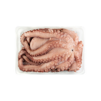 Chobotnice 2000/3000 vanička