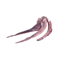 Kalamáre chápadlá /vanička/