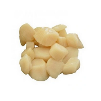 Mušle sv. Jakuba 10/20