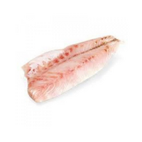 Ostriež Nílsky 300/500