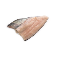 Pstruh dúhový filet 80/120