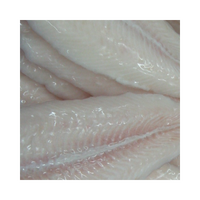 VIKING FROST Mrazený Pangasius filet bez kože 5KG