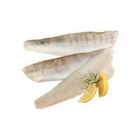 Zubáč filet 170/230 (1krt./5kg)