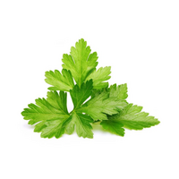 Koriander celý 500g