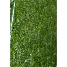 VIKING FROST Mrazený Špenát drť /porcie/ 2,5kg