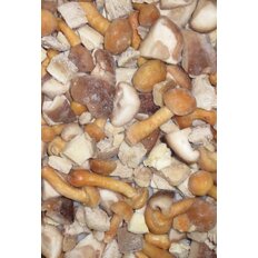 VIKING FROST Mrazená Zmes húb 1kg /gastro/