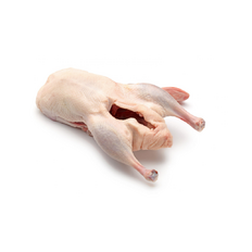 Kačica cca 2,4kg HU mrazená