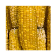BONDUELLE Kukurica klasy mini 2,5kg