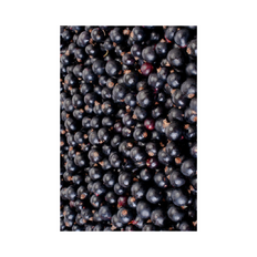 VIKING FROST Mrazené Čierne ríbezle 2,5kg