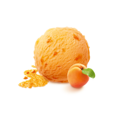 Sorbet Marhuľa 2,4L