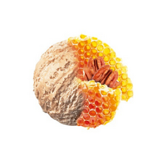 Zmrzlina pekanový orech 2,4L