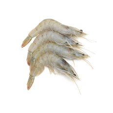 Krevety surové celé 8/12 1kg