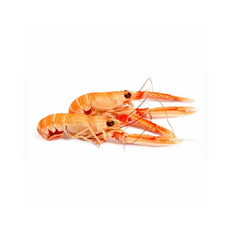 Langustinky klepeta a hlavy 5kg