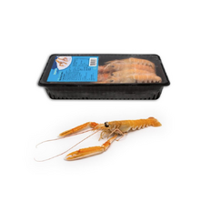 Langustinky surové celé 8/12