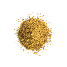 Horčicové semienko svetlé 500g